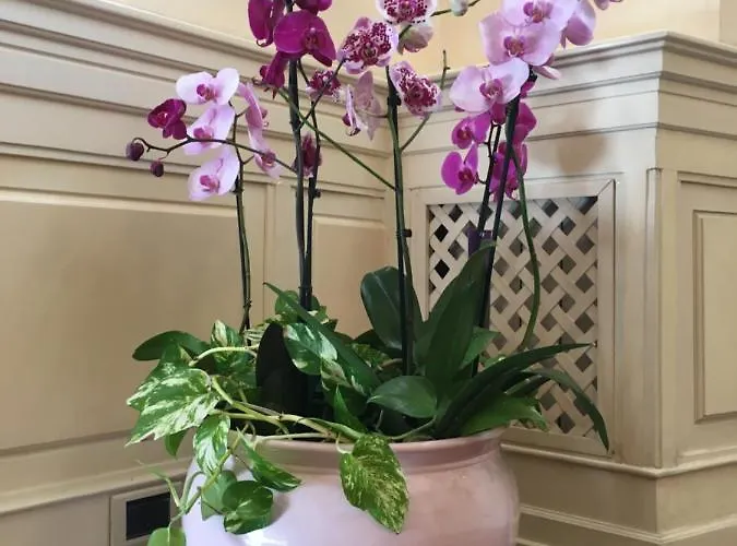 Villino Margherita 4* Roma